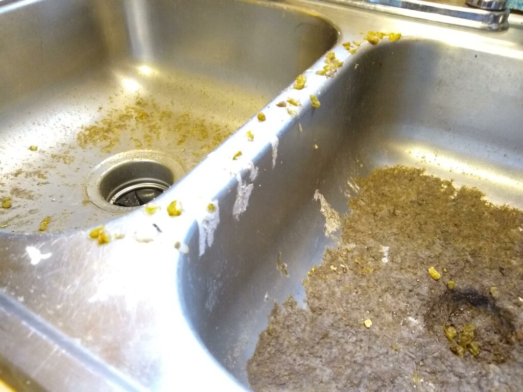 Clogged Sink