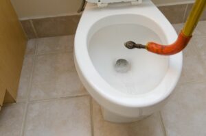 clogged toilet