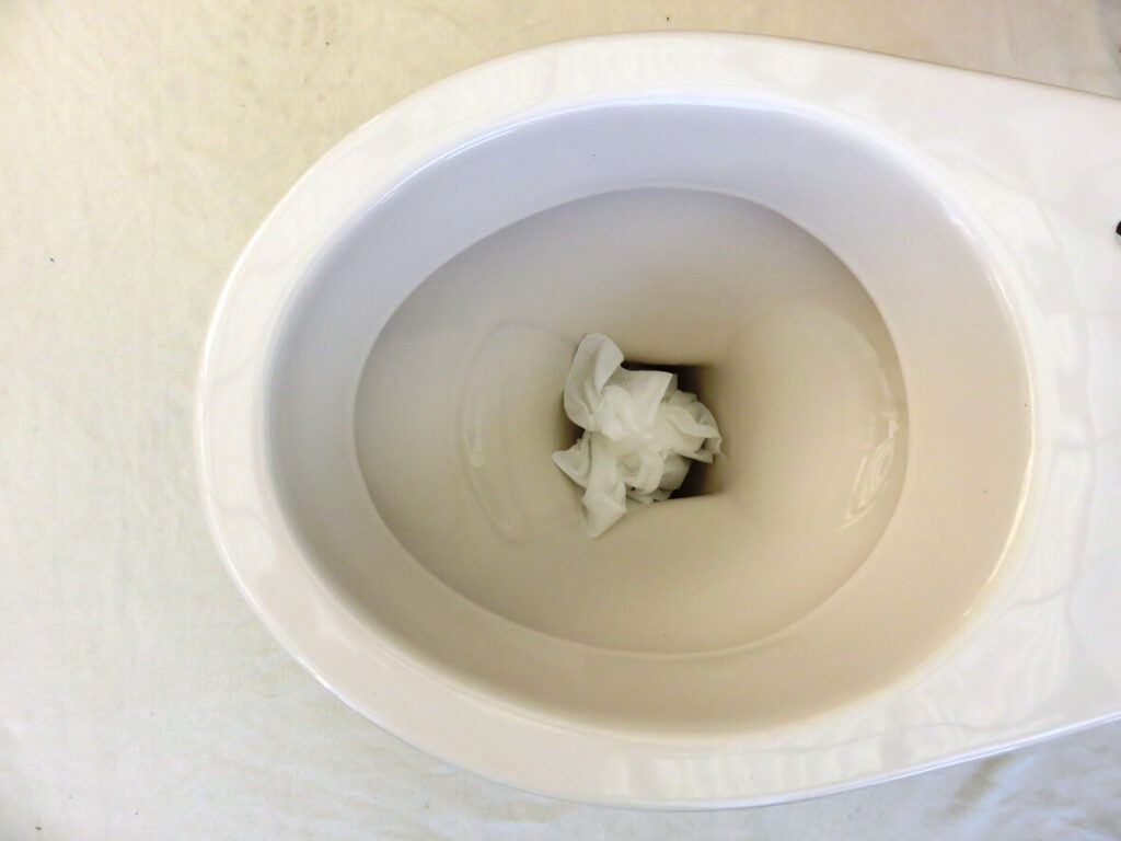 clogged toilet