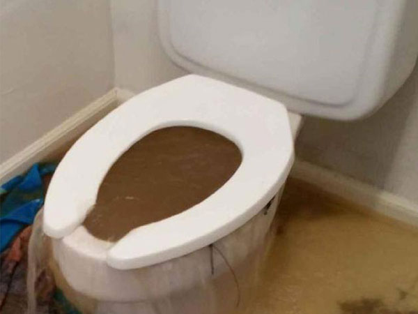 clogged toilet