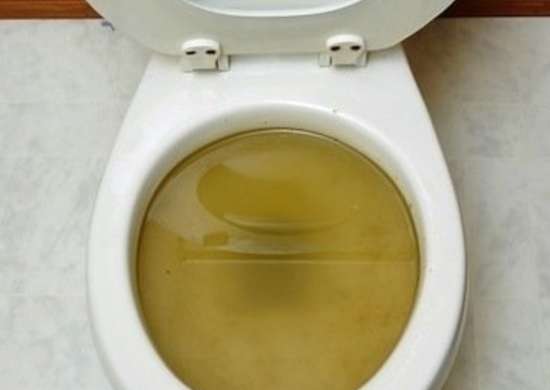 clogged toilet