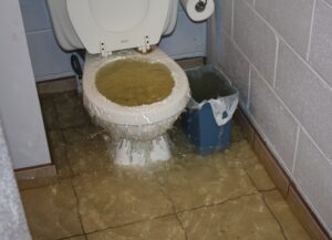 clogged toilet