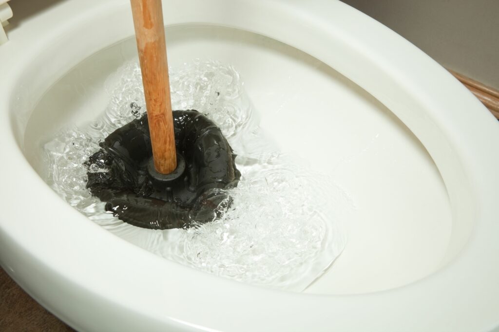 clogged toilet